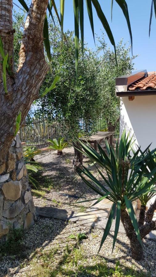 Piccola Casa Con Giardino Villa Сан Ремо Екстериор снимка